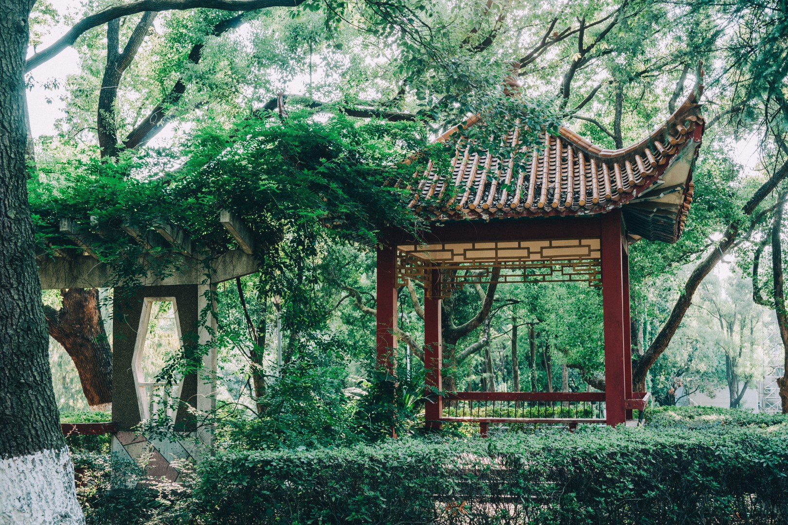 皇冠体育博彩